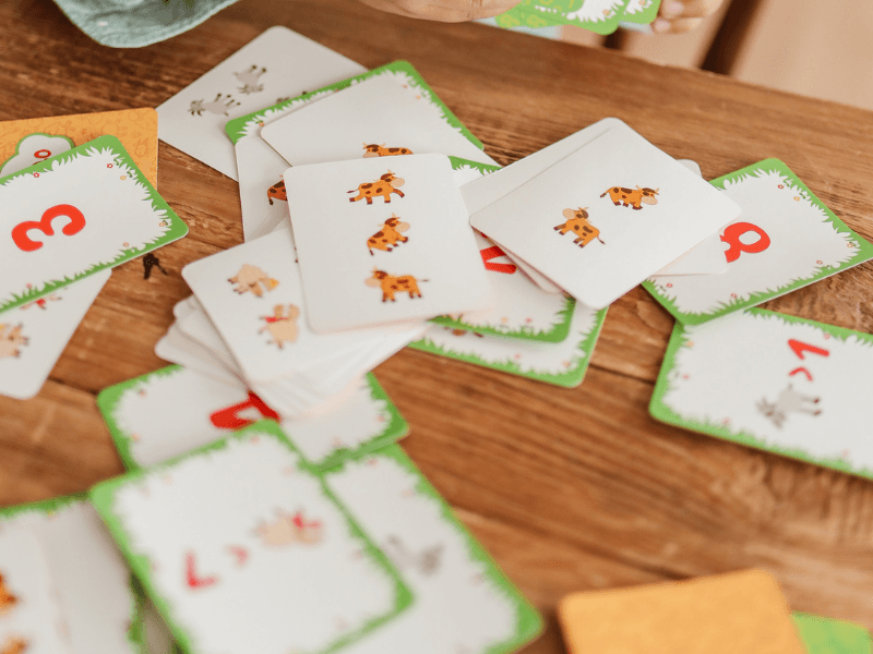 Flashcards