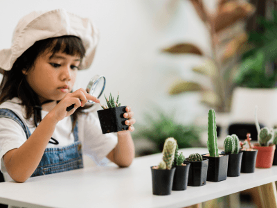 STEM Exploration & Scientific Thinking